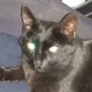 Meet your Posher, Karen